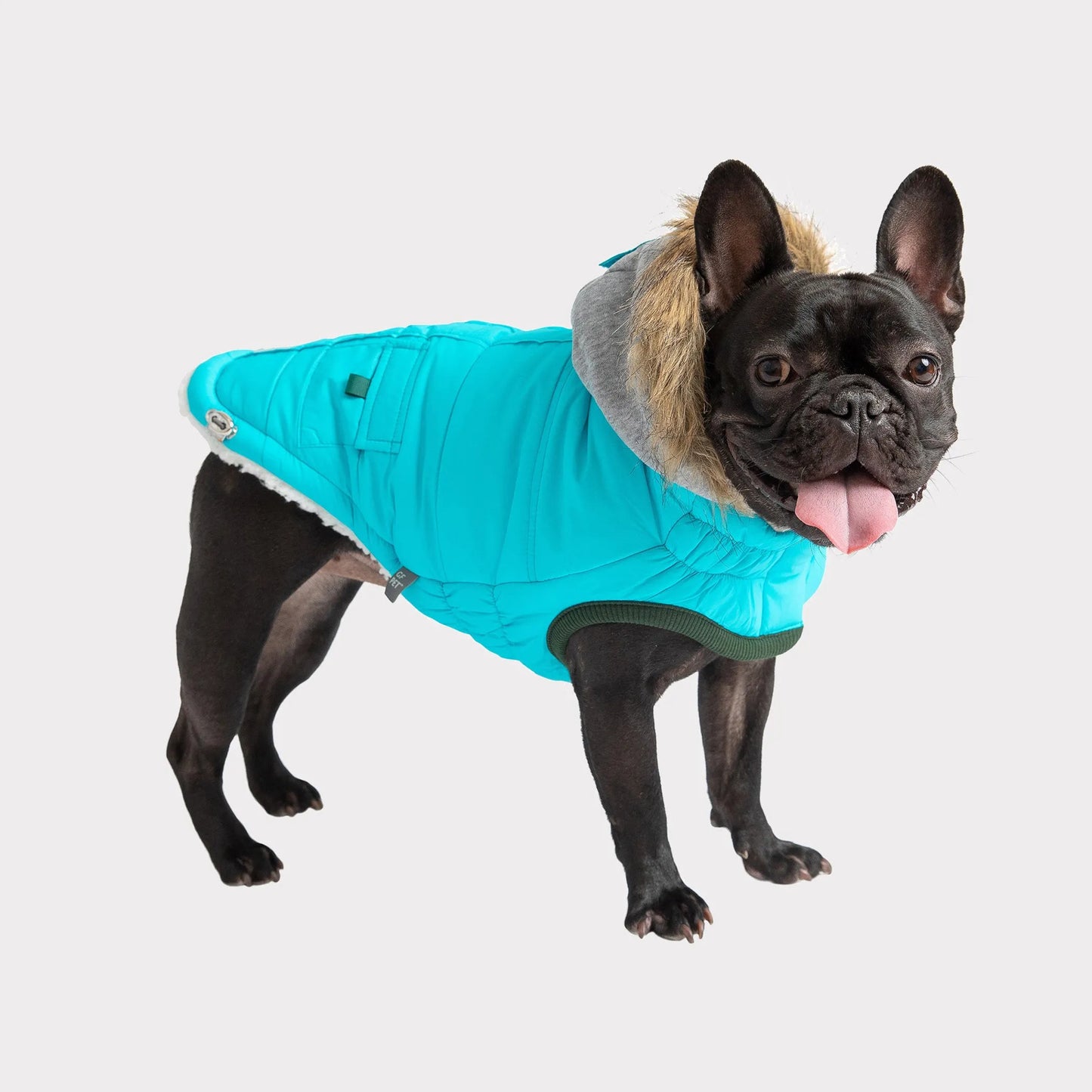 GF Pet Winter Sailor Parka