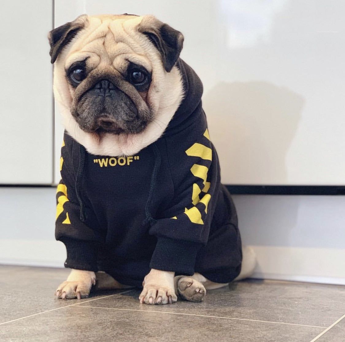 Fresh Pawz Woof Dog Hoodie