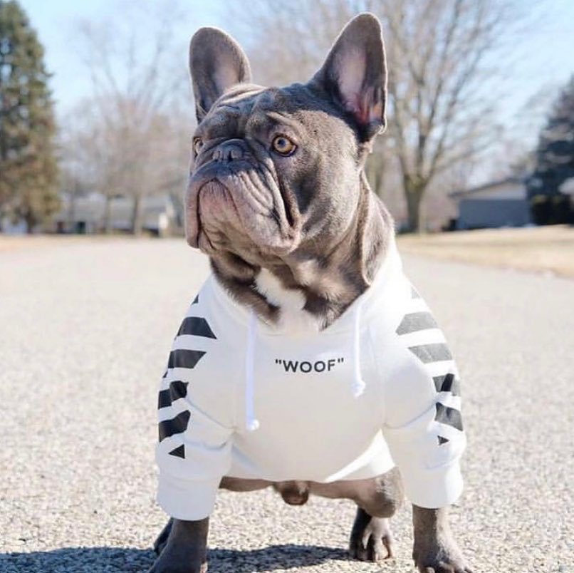 Fresh Pawz Woof Dog Hoodie
