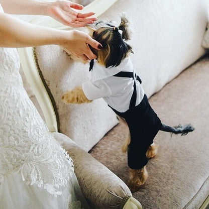 Handsome Stylish Pet Suit with Bow Tie
