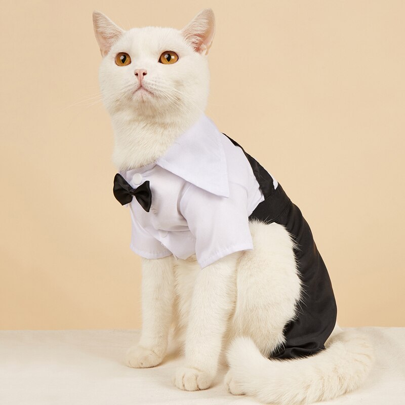 Handsome Stylish Pet Suit with Bow Tie