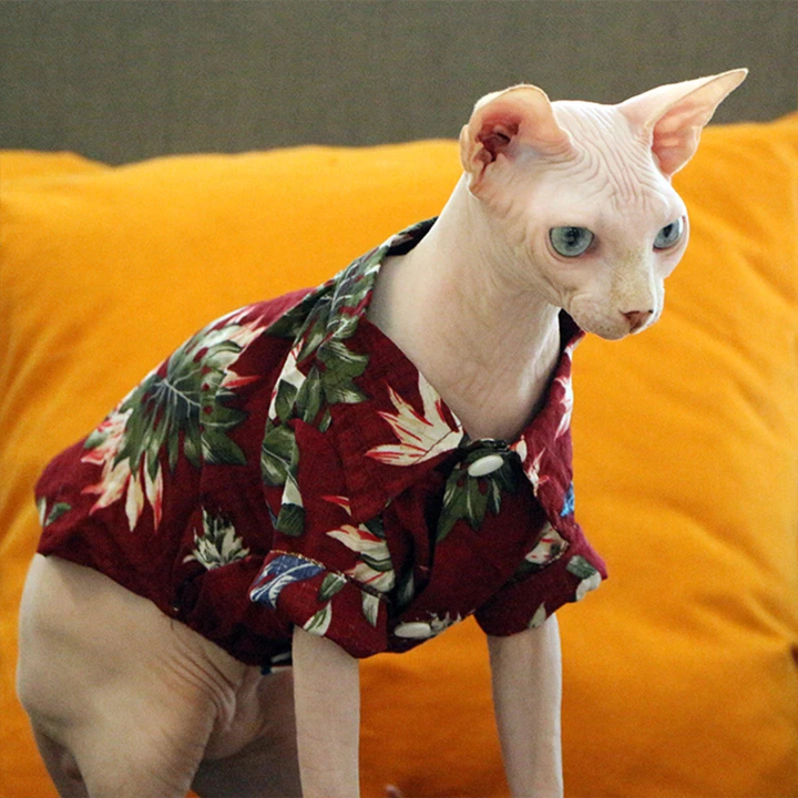 Hawaiian Pet Shirts