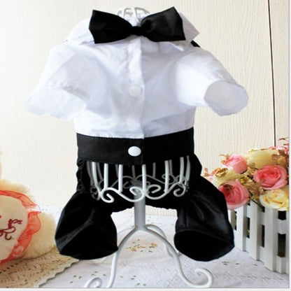 Handsome Stylish Pet Suit with Bow Tie